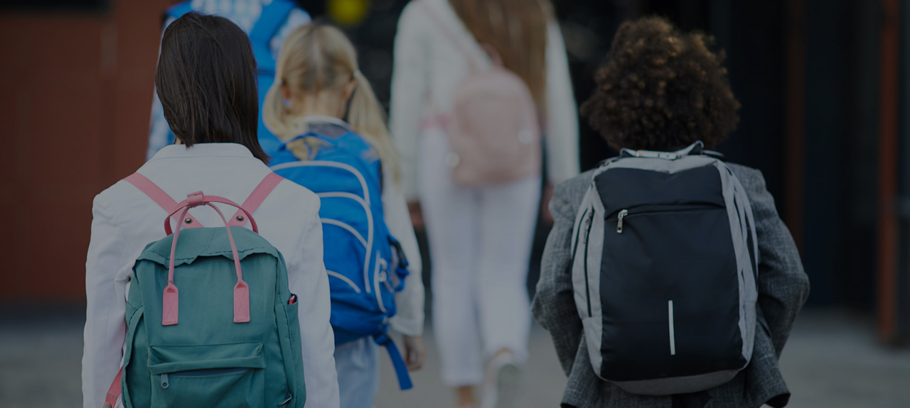 Header educación primaria online Header educación primaria online